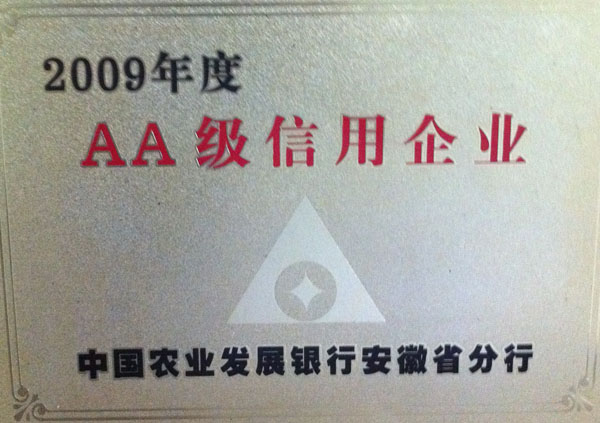 2009AA(j)I(y)